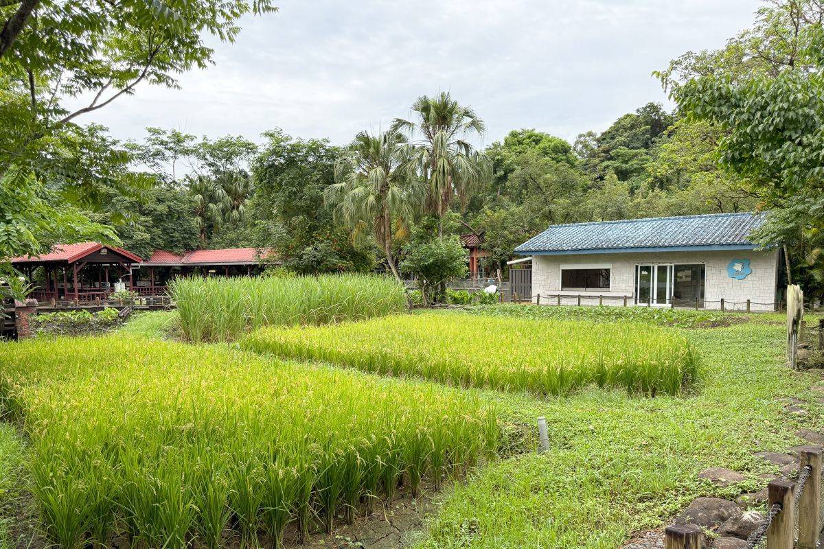 臺北市立動物園內的兒童動物區農田溼地是重要的環境教育場域