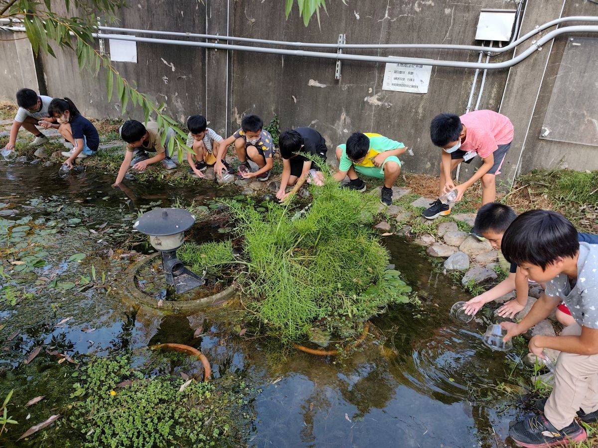 自立國小學生在生態池進行調查與紀錄