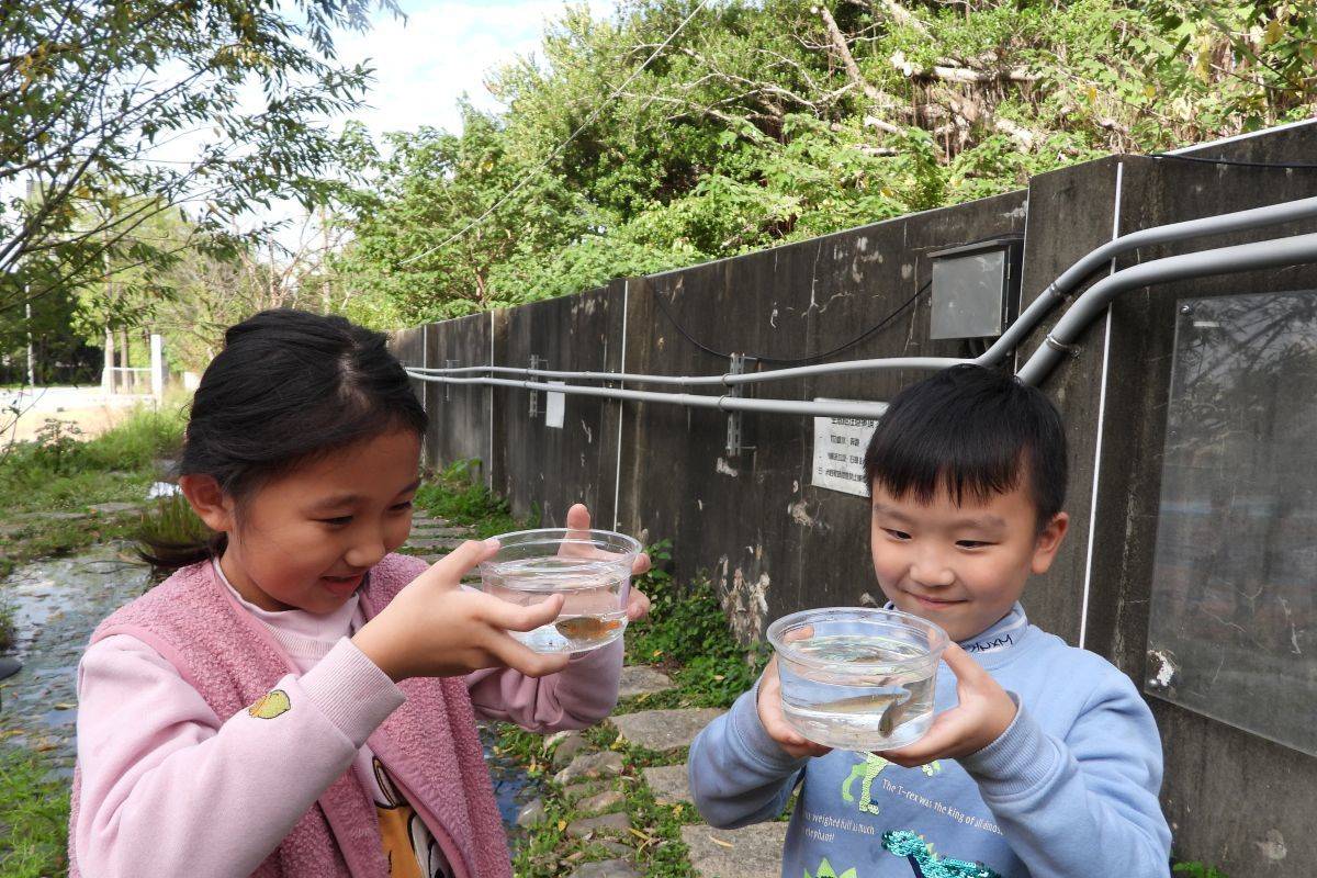 自立國小學生進行水生生物調查活動與觀察