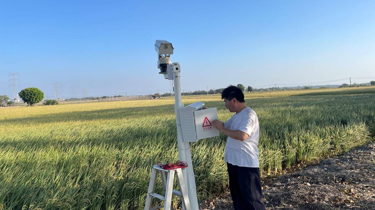 「雷鳥小組」 AI即時影像辨識結合多波長雷射的智慧農業防護系統