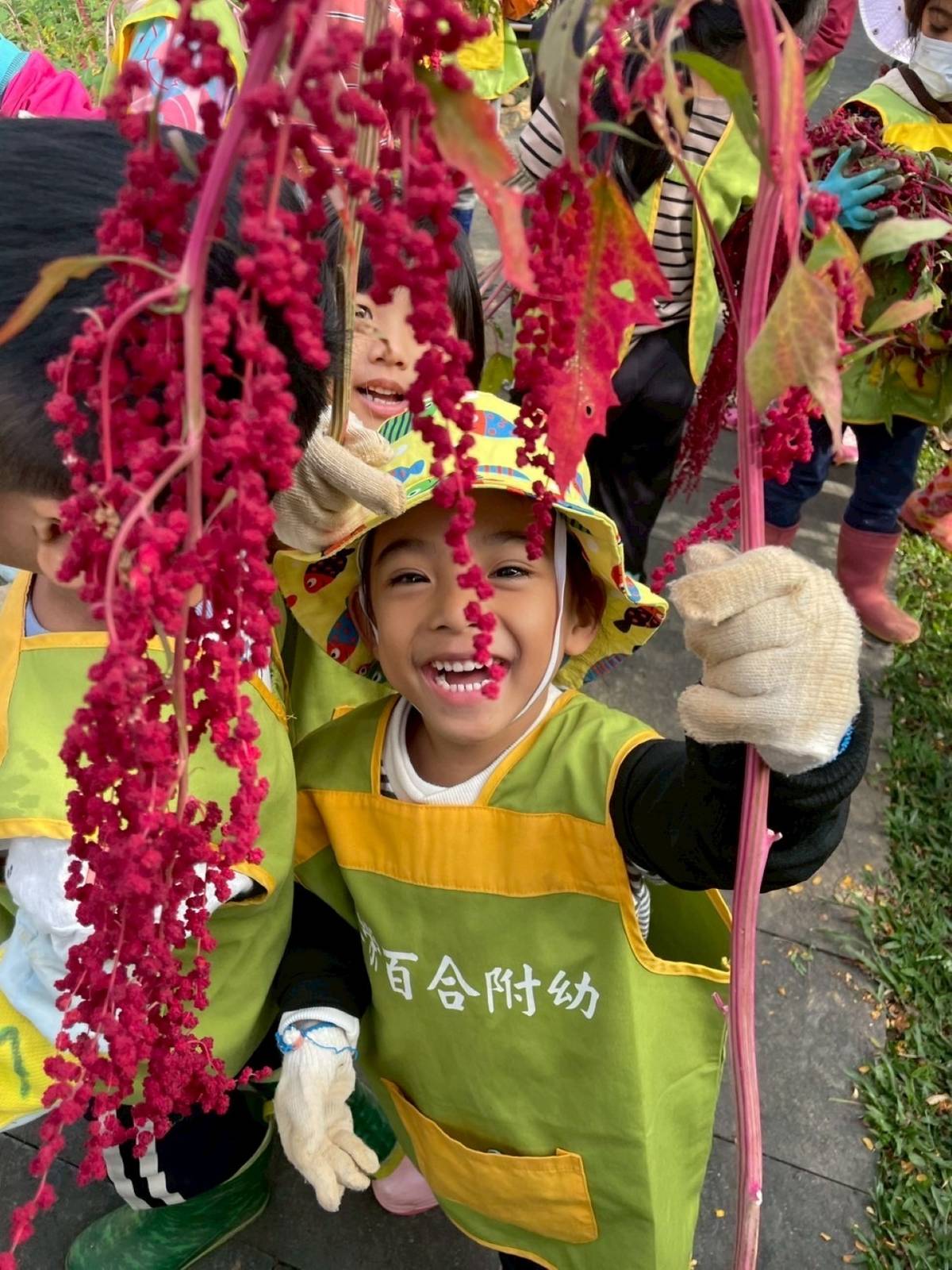 屏東縣長榮百合國小附幼幼兒感受收成的喜悅