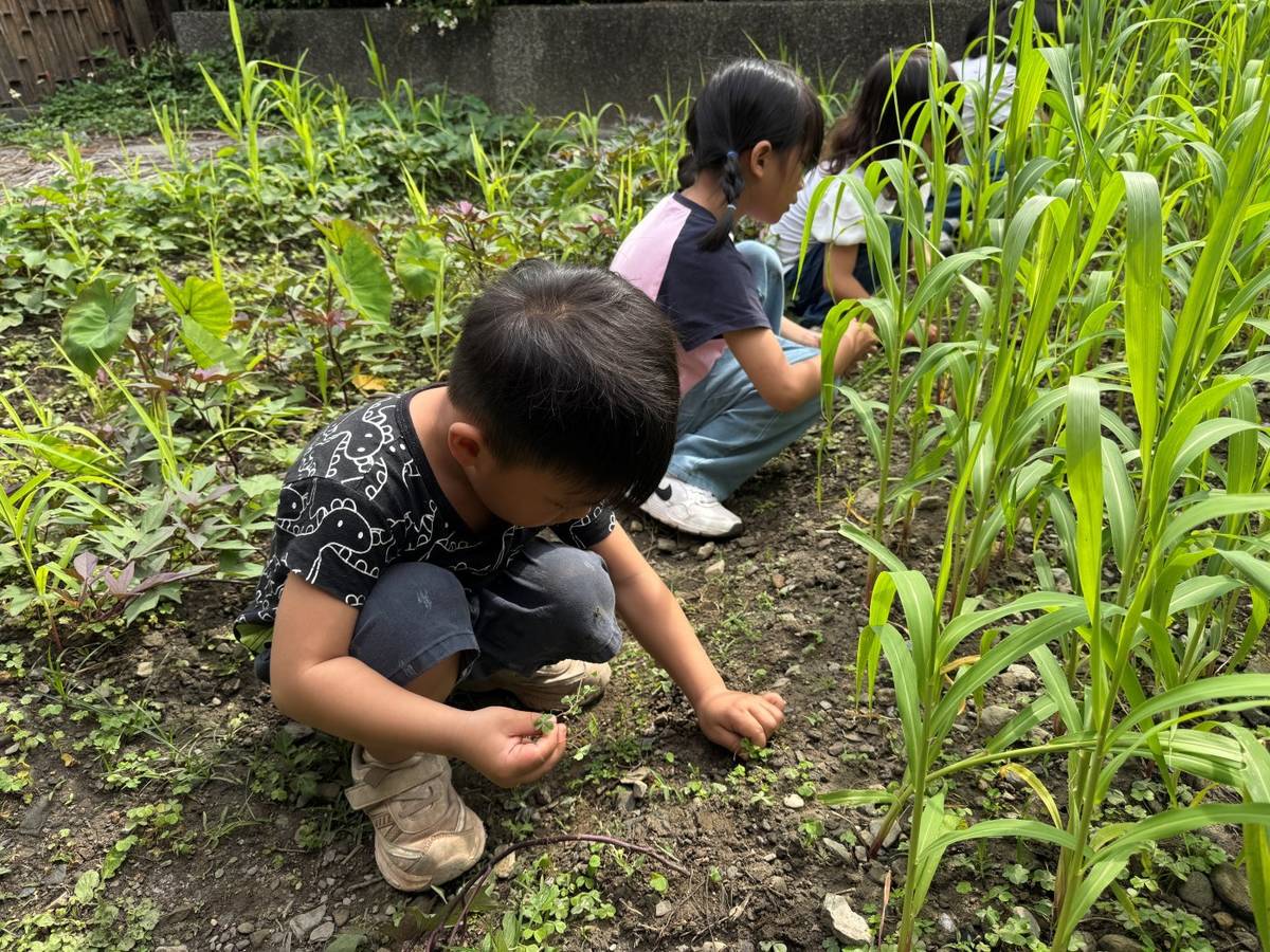 宜蘭縣南澳國小附幼《小泰雅山中記》主題課程，帶領幼兒走進山林、部落