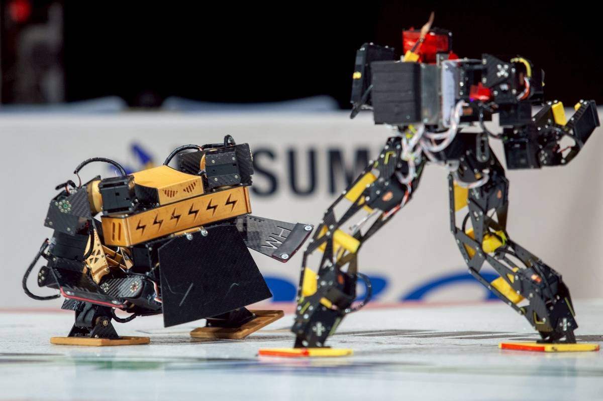 2025年，林睿杰曾前往日本參加國際人型機器人競賽「Robo-One」，與來自多國的隊伍同場競技。圖左為林睿杰的人型機器人。(臺科大提供)