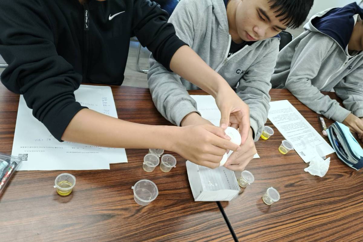 油橄欖專題課程