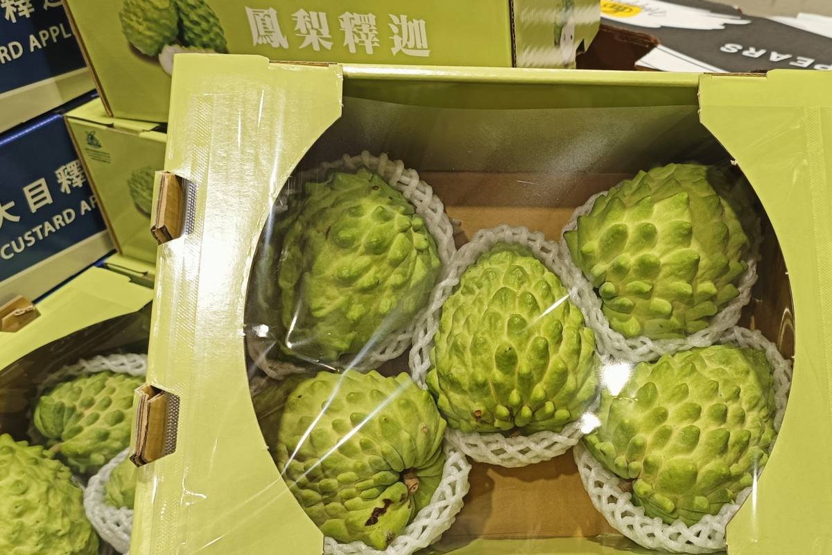 國產鳳梨釋迦禮盒，相當適合送禮。(農糧署提供)