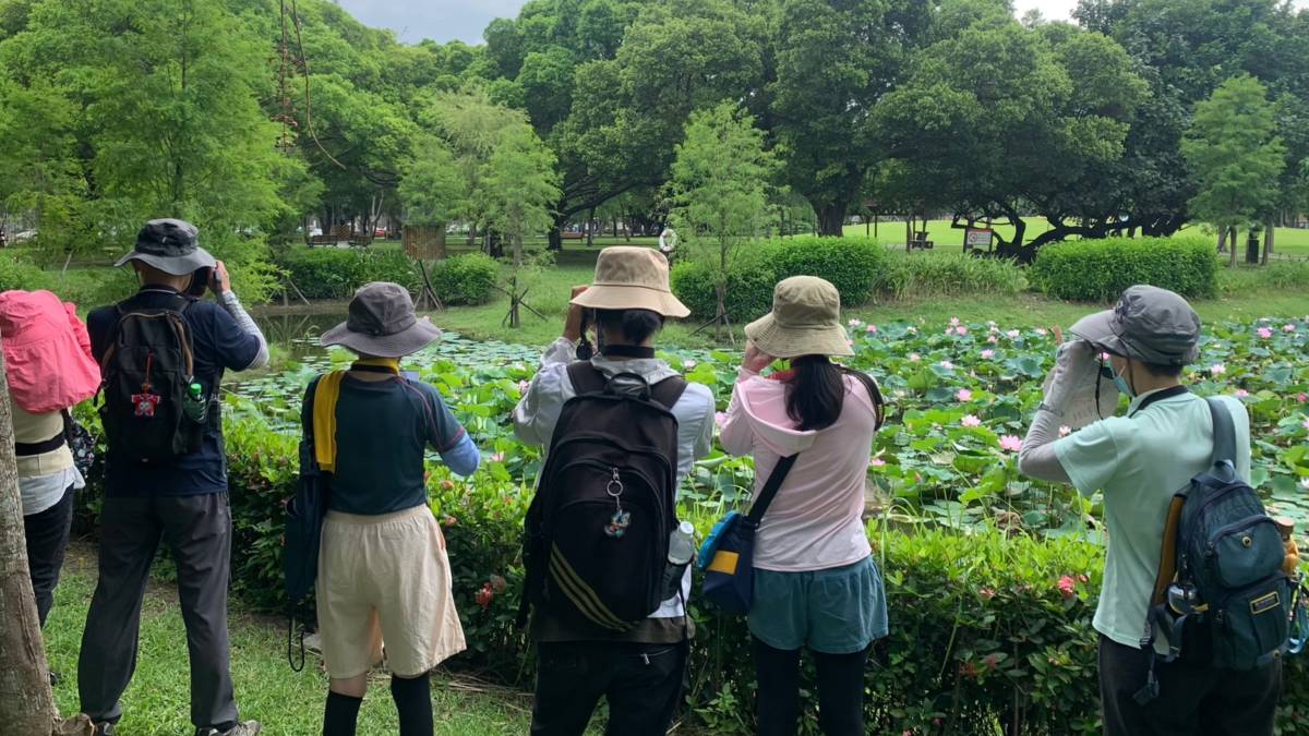 只要拿起望遠鏡，就能欣賞居住在我們身邊的鳥朋友哦(圖片由陳虹樺提供）
